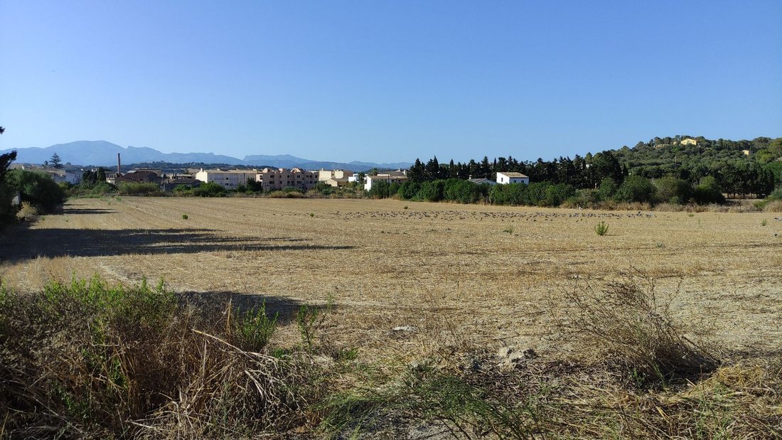 Land in Santa Margalida, Balearische Inseln, Spanien 5 - 18821487