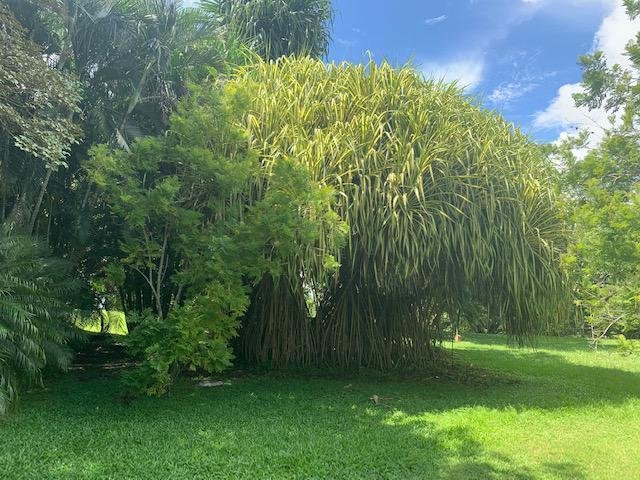 Rancho en Orotina, Provincia de Guanacaste, Costa Rica 4 - 18822017