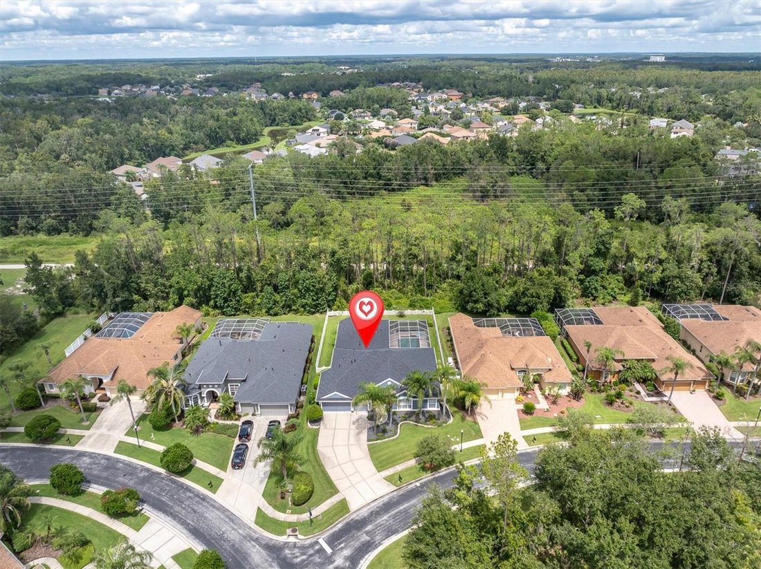 House in Wesley Chapel, Florida, United States 5 - 18824035