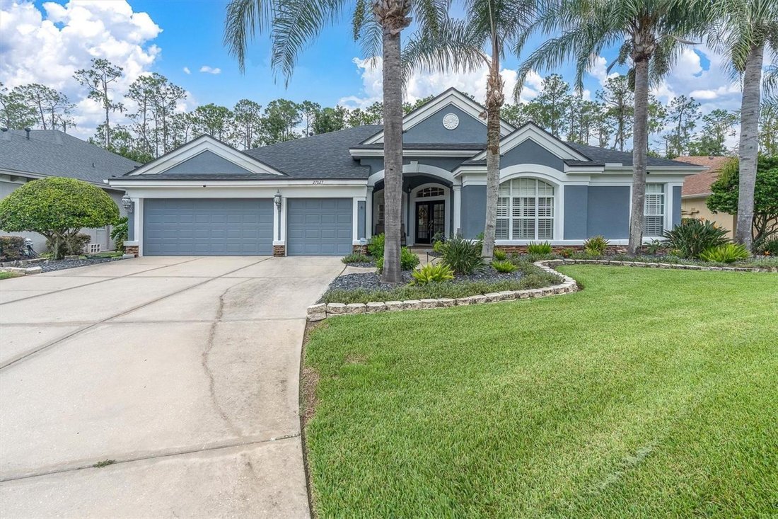 House in Wesley Chapel, Florida, United States 1 - 18824035