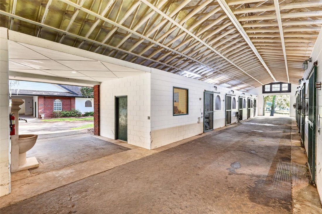 Azienda agricola a The Villages, Florida, Stati Uniti 4 - 17181264