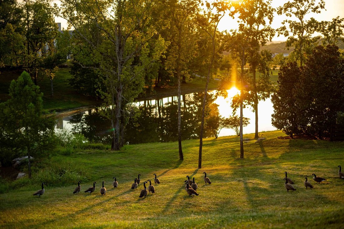 Land in College Grove, Tennessee, United States 3 - 18825992