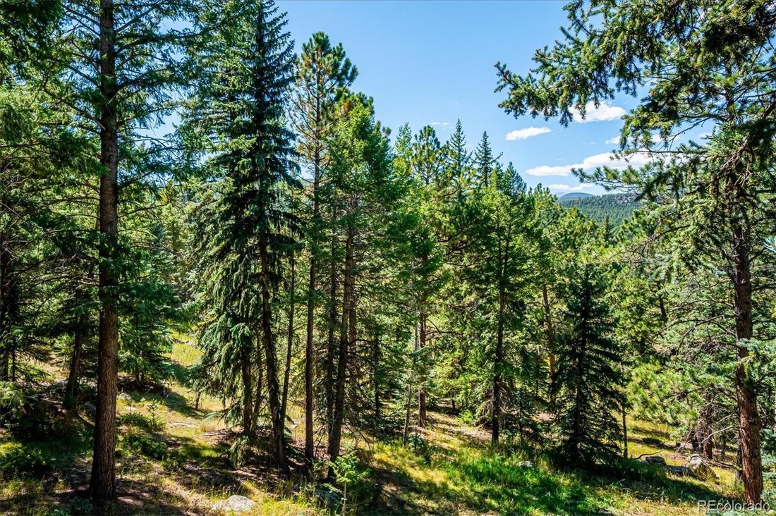 House in Evergreen, Colorado, United States 5 - 18822961