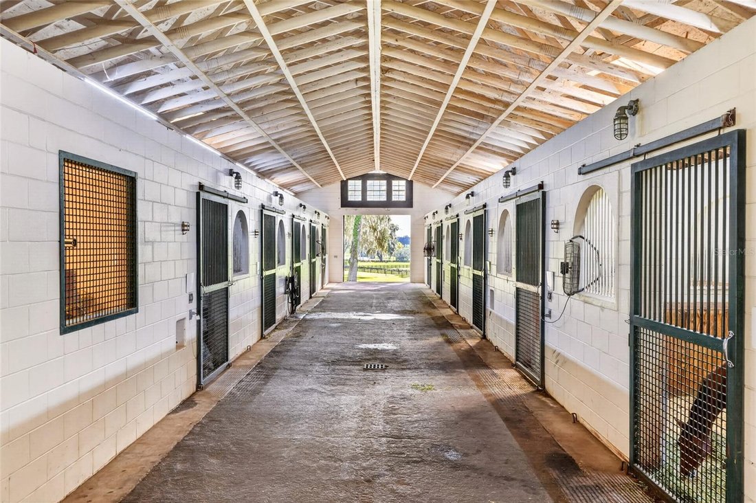 Azienda agricola a The Villages, Florida, Stati Uniti 3 - 17181264