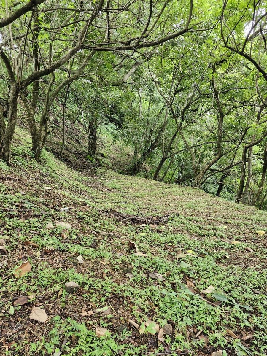 Terreno en Pozos, San José, Costa Rica 3 - 18822160