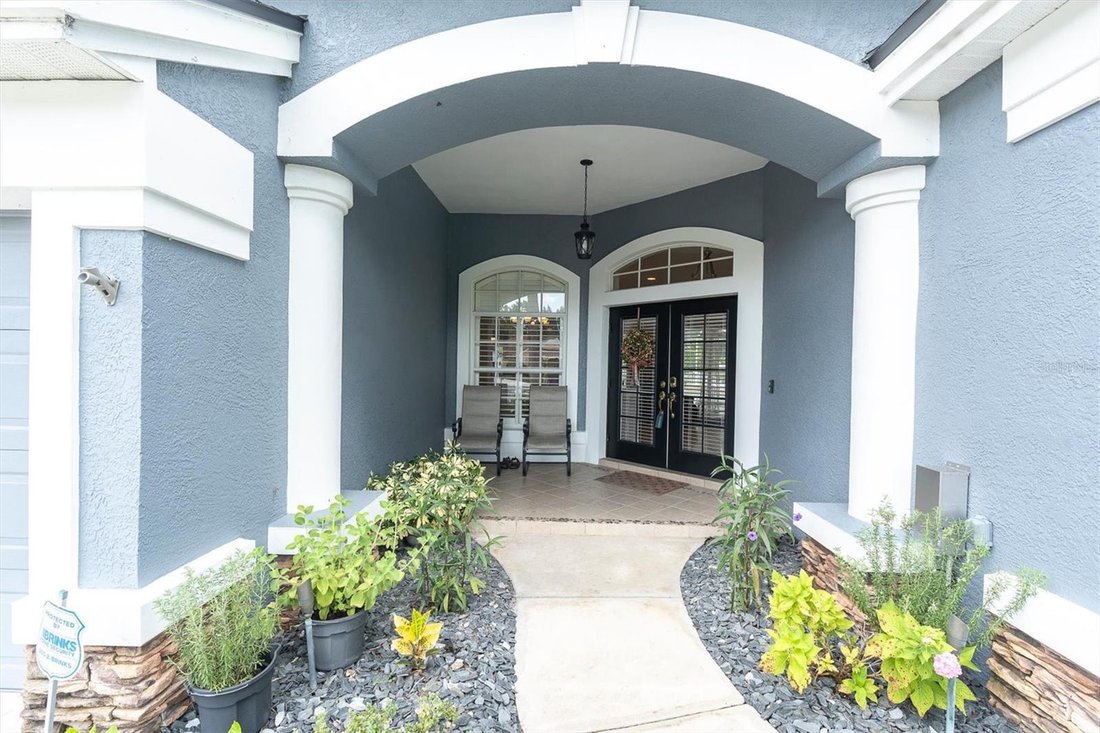 House in Wesley Chapel, Florida, United States 3 - 18824035