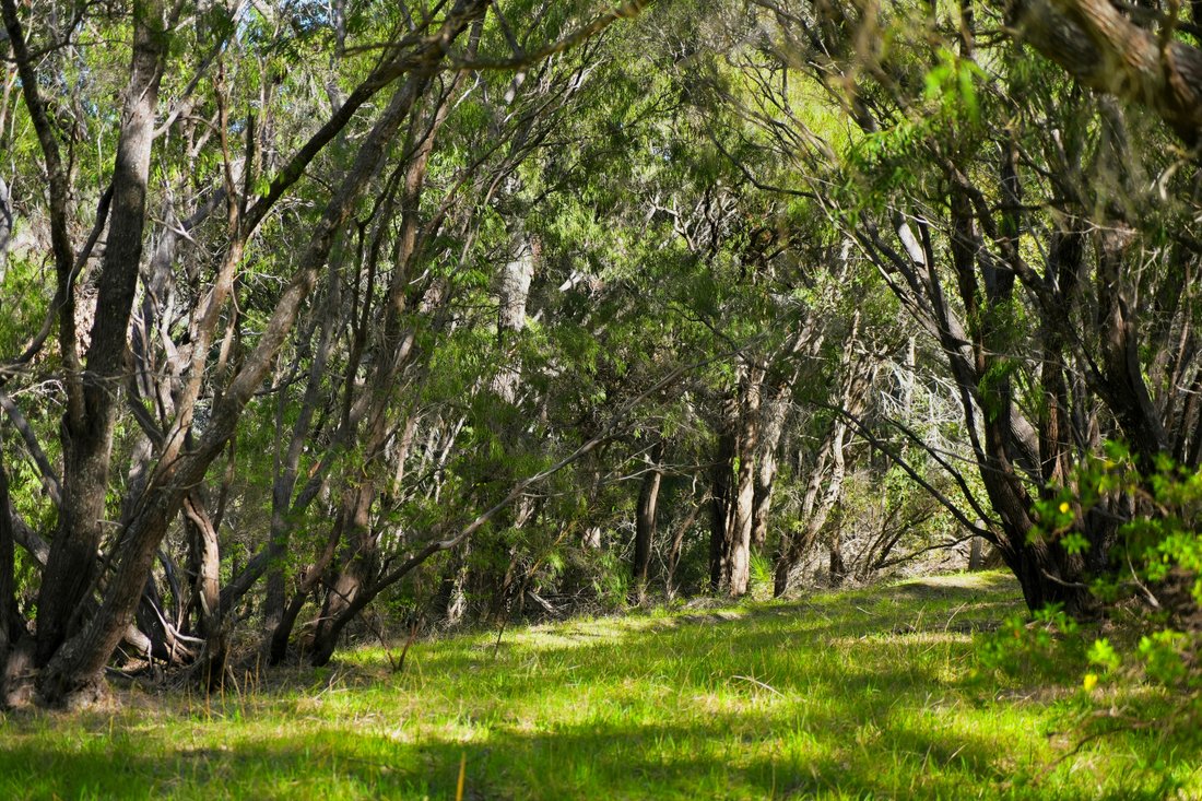 Terreno a Burnside, Australia Occidentale, Australia 4 - 18826078