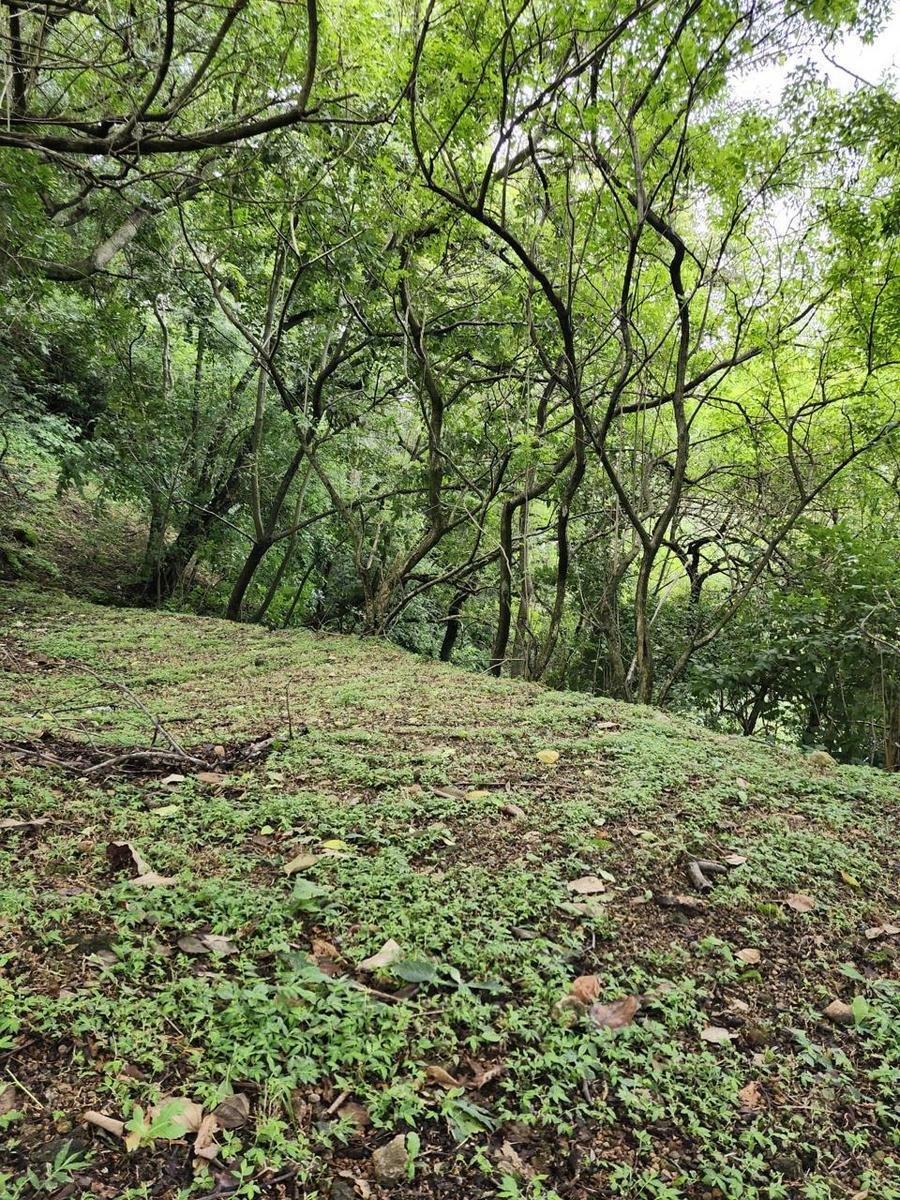 Terreno en Pozos, San José, Costa Rica 2 - 18822160