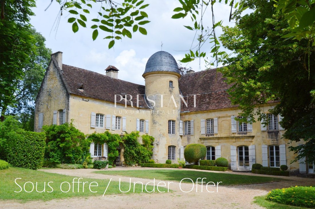 Castello a Montignac-Lascaux, Nuova Aquitania, Francia 1 - 18070531