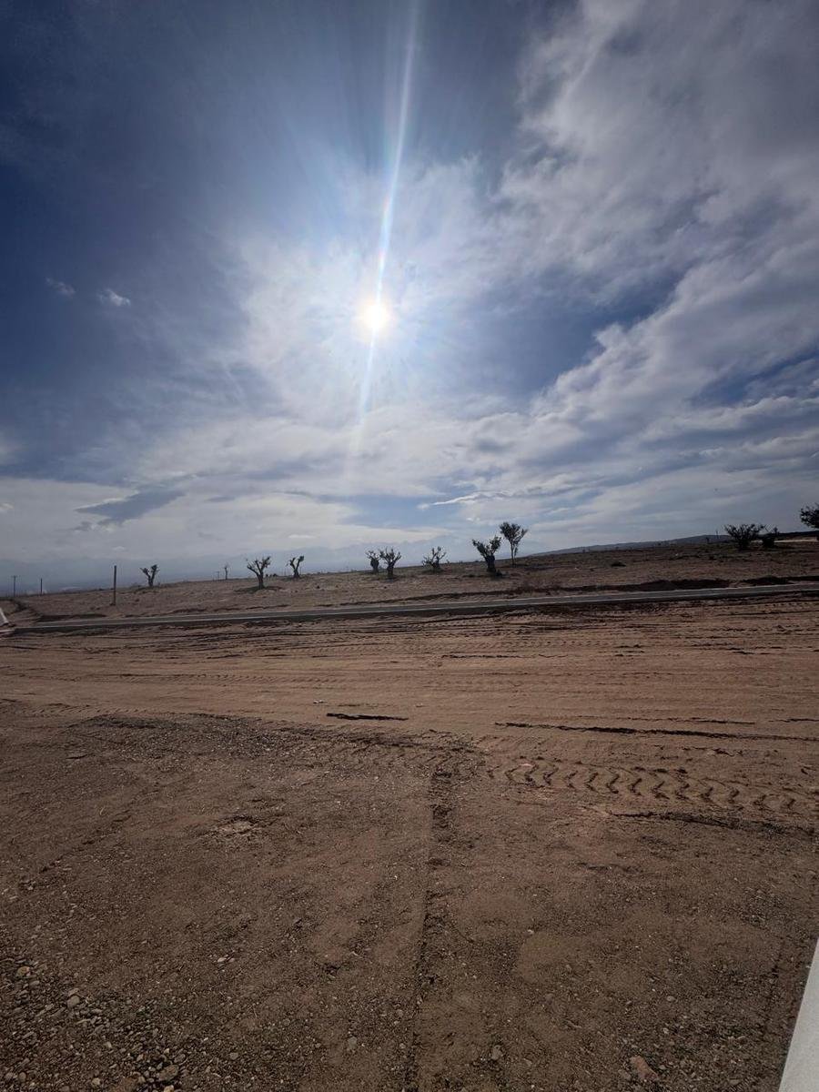 Terreno a Tupungato, Provincia di Mendoza, Argentina 1 - 18822463