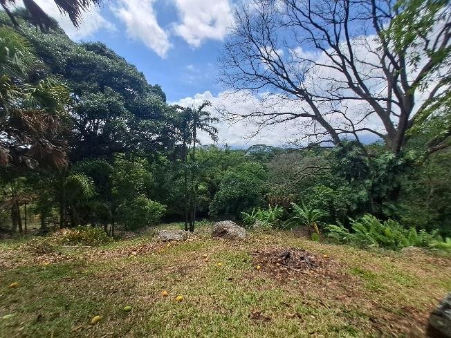 Terreno a San Rafael, Provincia di Guanacaste, Costa Rica 5 - 18822131