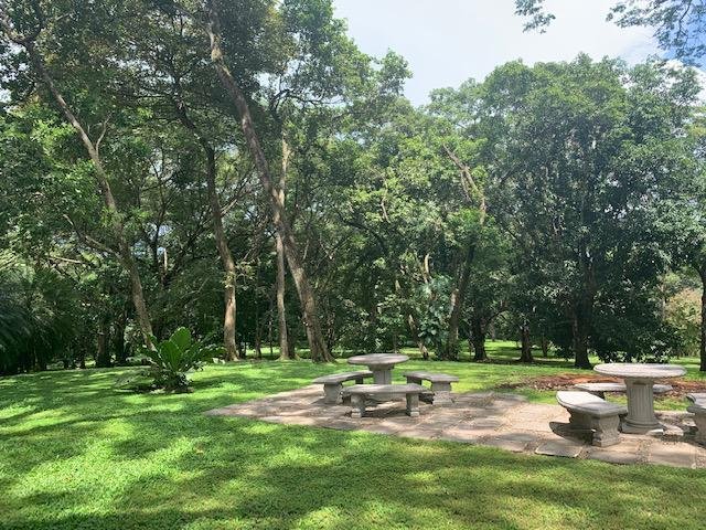 Rancho en Orotina, Provincia de Guanacaste, Costa Rica 5 - 18822017