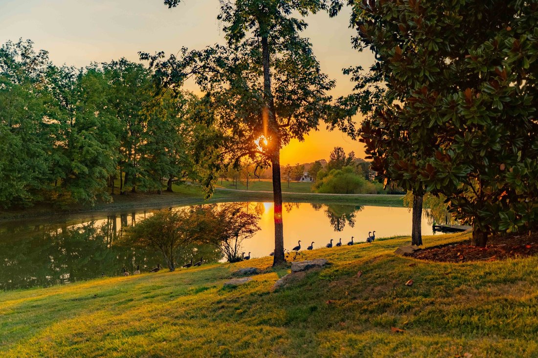 Land in College Grove, Tennessee, United States 1 - 18825992