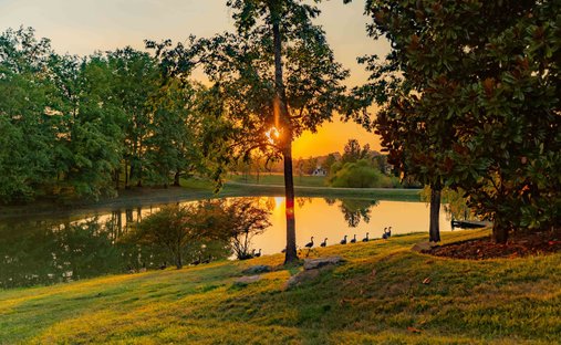 Terreno a College Grove, Tennessee, Stati Uniti 1