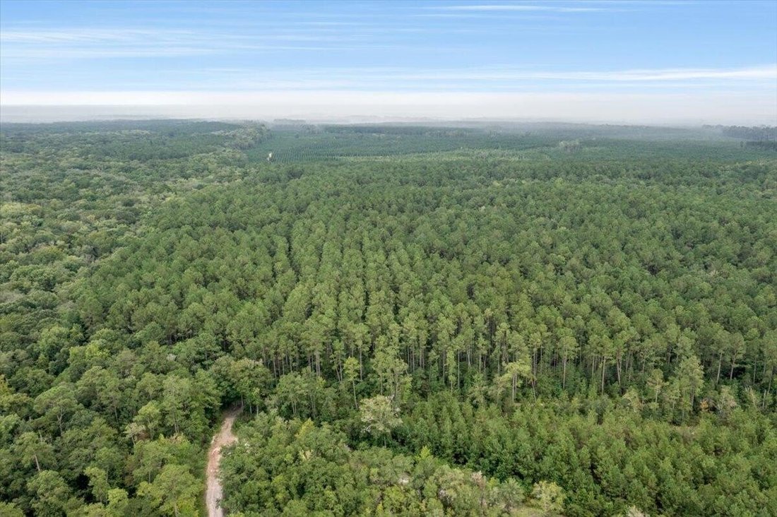 Terreno in Carolina del Sud, Stati Uniti 3 - 18825964
