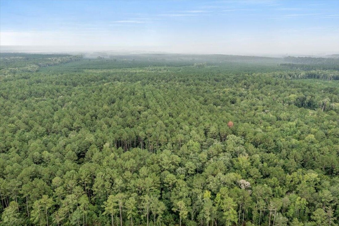 Terreno in Carolina del Sud, Stati Uniti 5 - 18825964