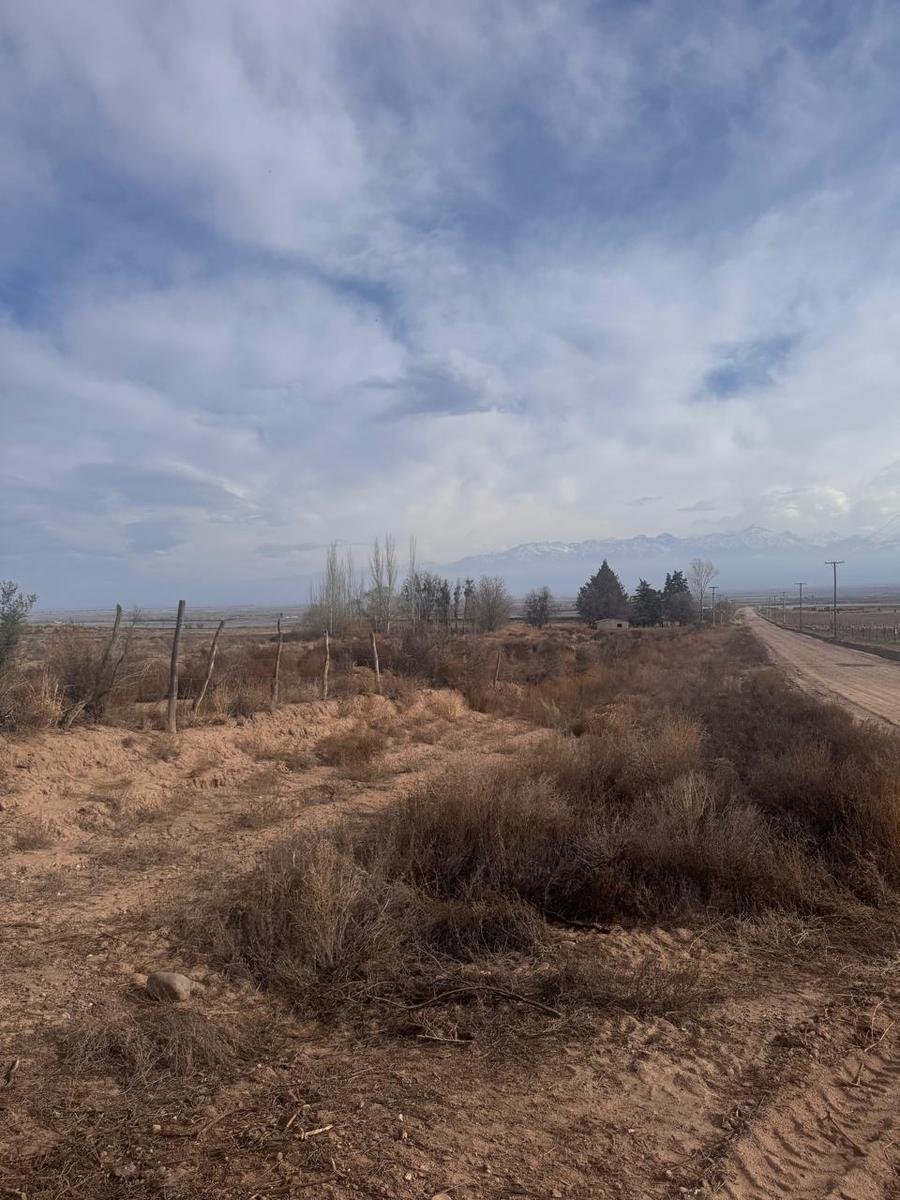Terreno a Tupungato, Provincia di Mendoza, Argentina 3 - 18822463