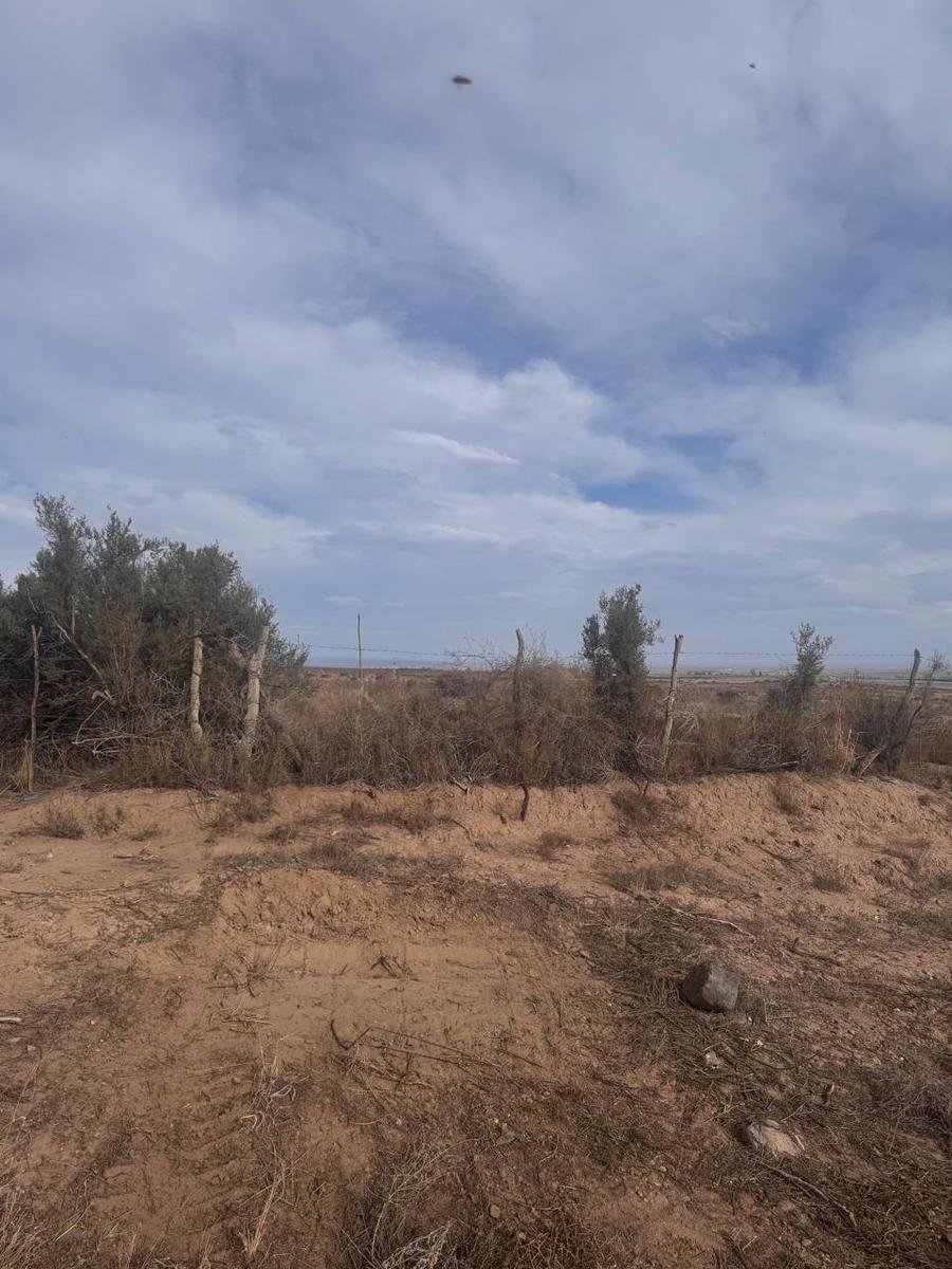 Terreno a Tupungato, Provincia di Mendoza, Argentina 4 - 18822463