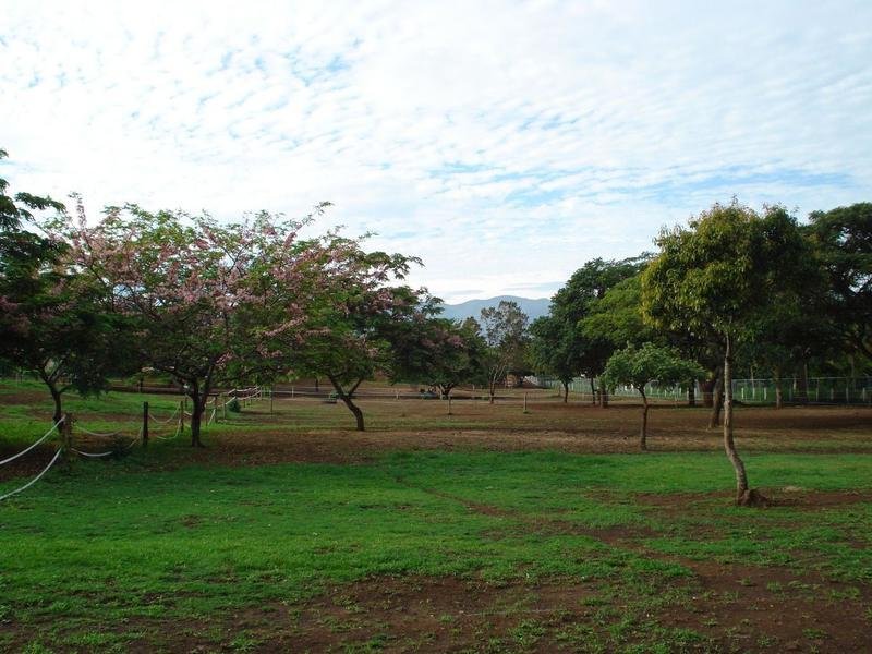 Land in San Antonio District, Belén, Heredia, Costa Rica 2 - 18821970