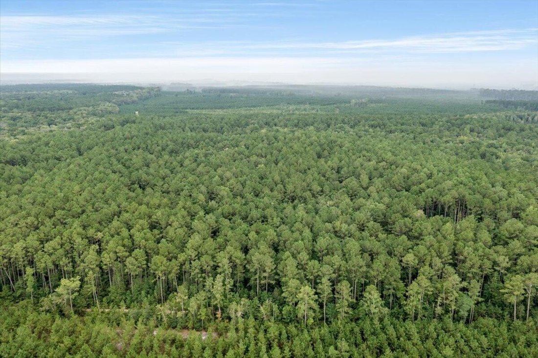 Terreno in Carolina del Sud, Stati Uniti 4 - 18825964