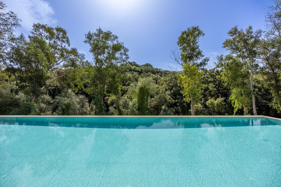 Villa in Sotogrande, San Roque, Andalusia 3 - 18823075