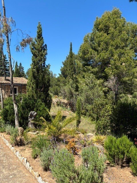 Finca en Estellenchs, Islas Baleares, España 3 - 18825290