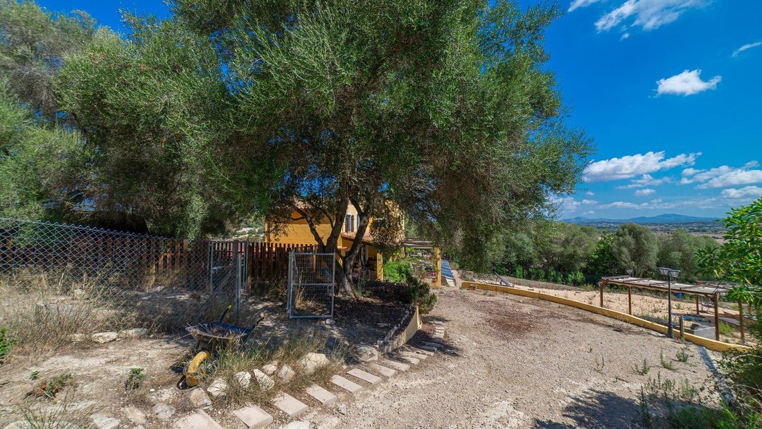 Haus in Sineu, Balearische Inseln, Spanien 5 - 18191490