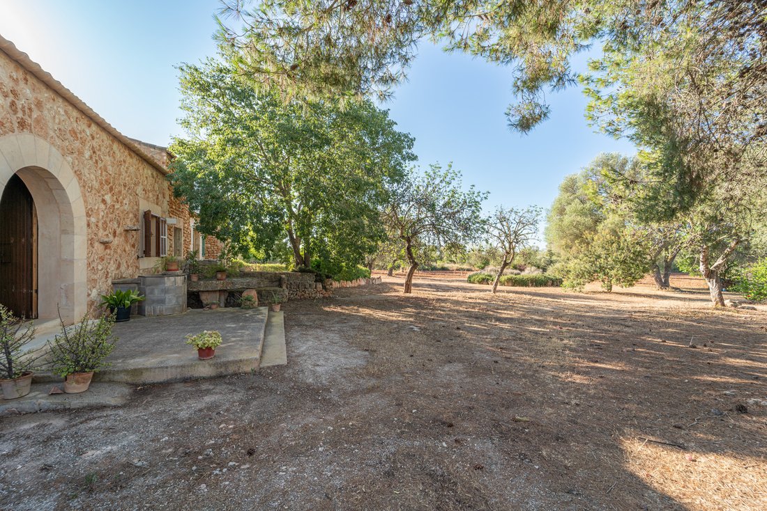 Casa a Campos, Isole Baleari, Spagna 5 - 18427738