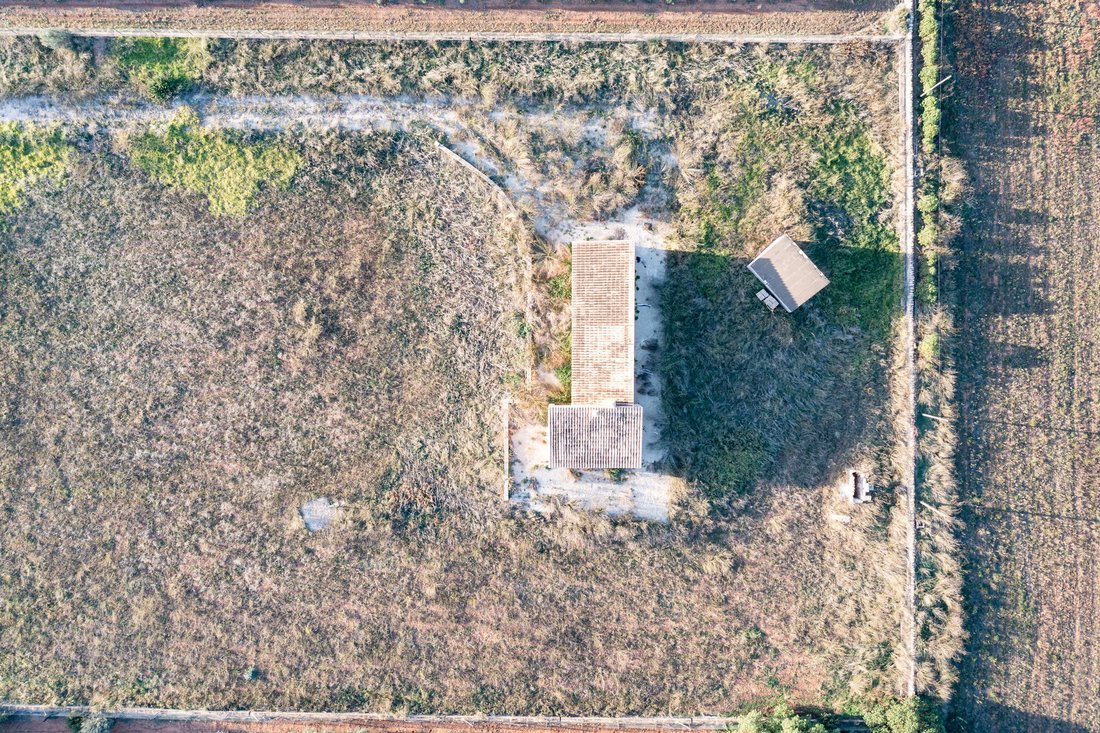 Casa en Campos, Islas Baleares, España 5 - 18191426