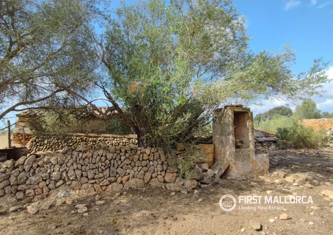 Terreno en Lluchmayor, Islas Baleares, España 5 - 18821826