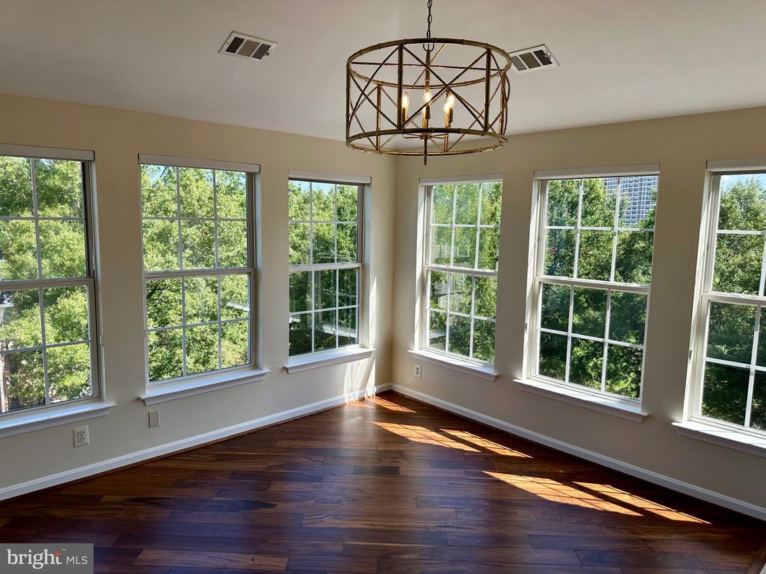 Condo in Alexandria, Virginia, United States 4 - 18815597