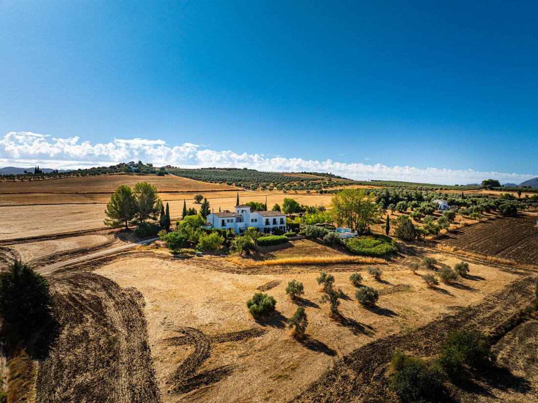 Maisons de campagne à Ronda, Andalousie, Espagne 4 - 18822746