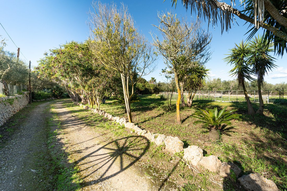 Casa en Sineu, Islas Baleares, España 1 - 18191464