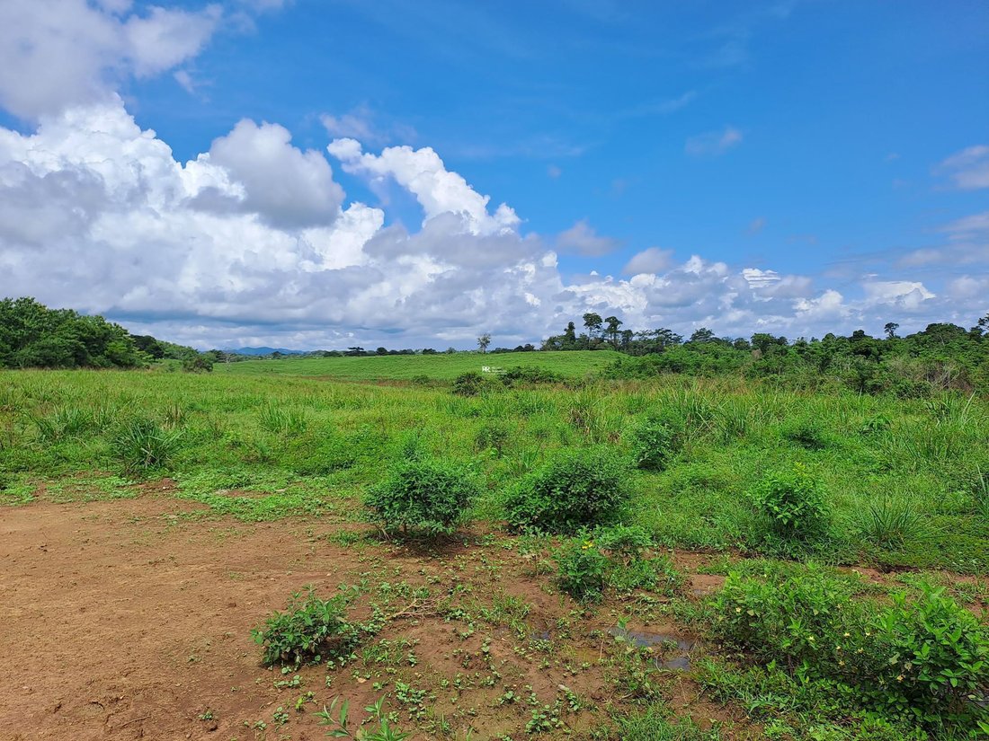 Land in Palmira, Chiriquí, Panama 5 - 18825053