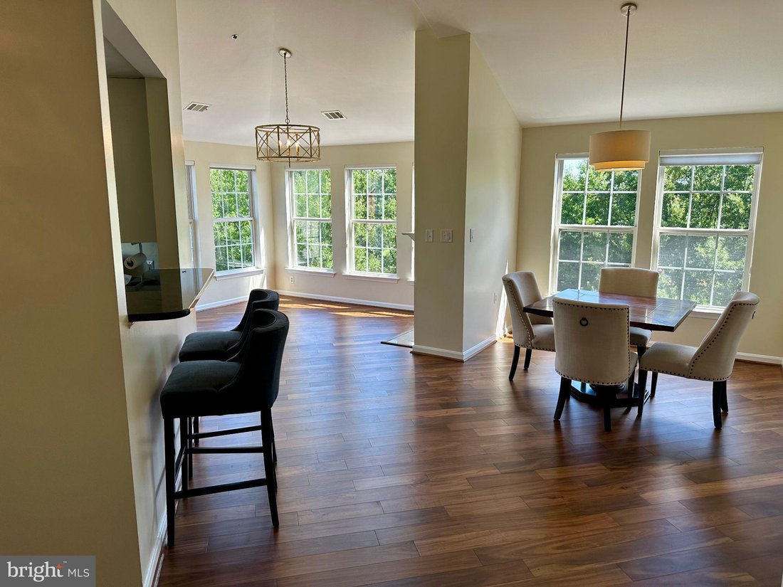 Condo in Alexandria, Virginia, United States 5 - 18815597