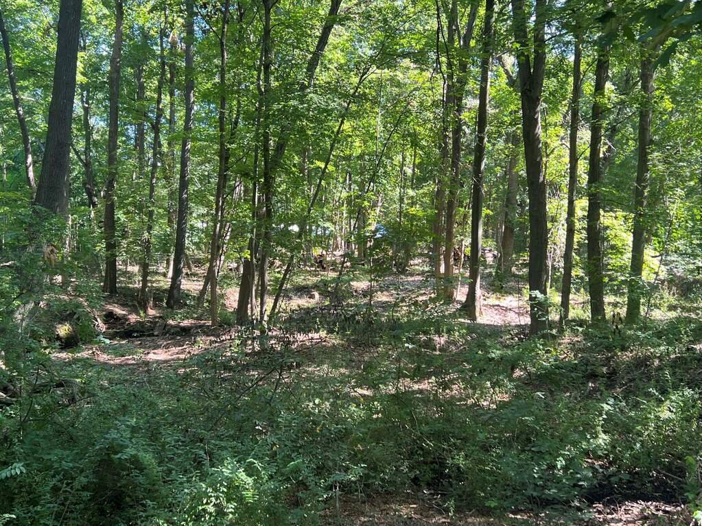 Land in Lakeside, Michigan, United States 4 - 18809380
