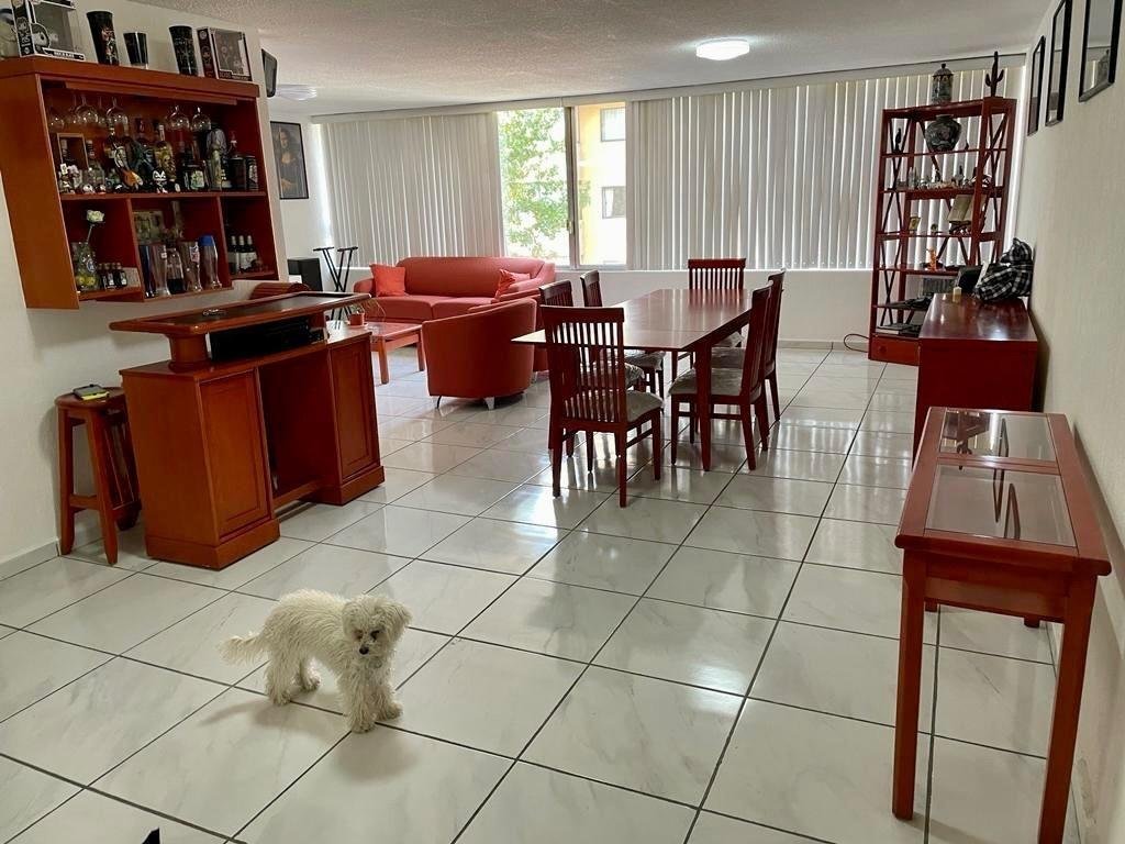 Apartment in Mexico City, Mexico 4 - 18821233