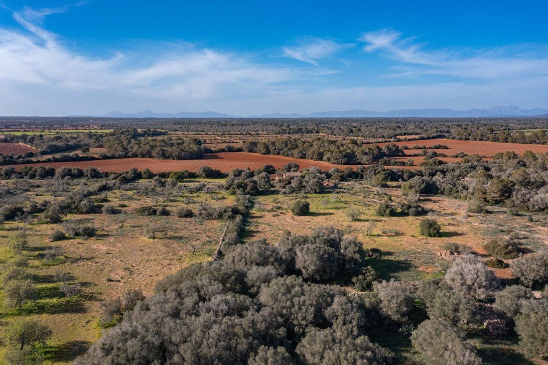 Terreno a Llucmajor, Isole Baleari, Spagna 1 - 18191349