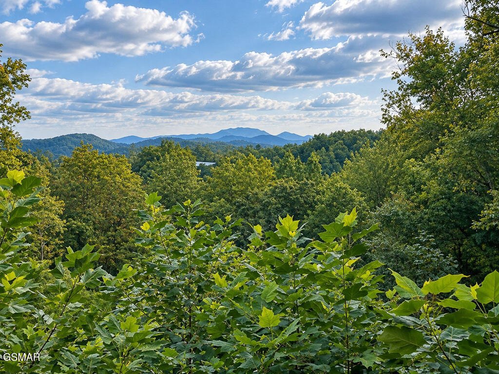 House in Sevierville, Tennessee, United States 4 - 18822491