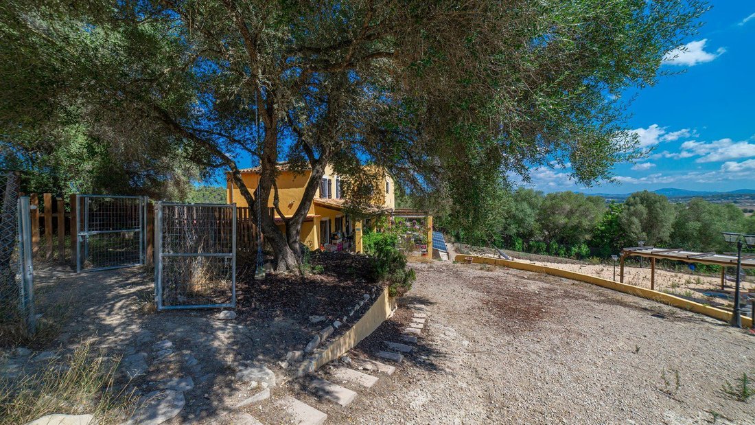 Haus in Sineu, Balearische Inseln, Spanien 3 - 18191490