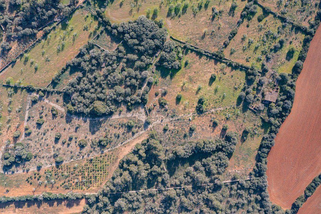 Terreno a Llucmajor, Isole Baleari, Spagna 4 - 18191349