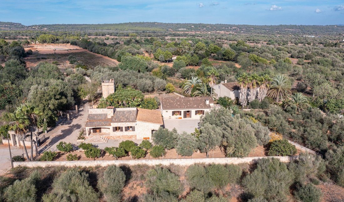 Casa en Campos, Islas Baleares, España 1 - 18191435