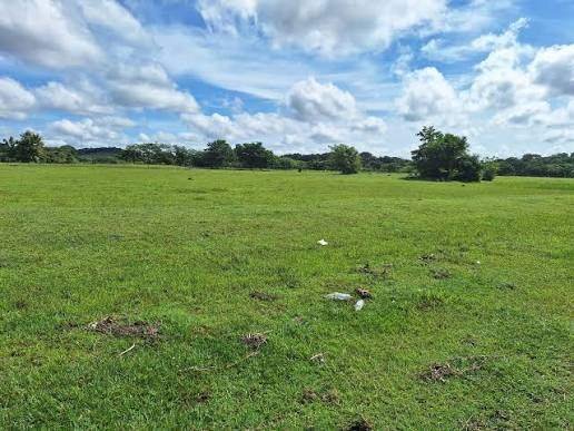 Land in Palmira, Chiriquí, Panama 4 - 18825053