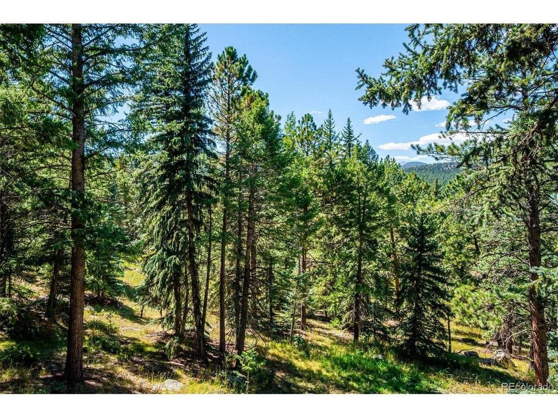 Haus in Evergreen, Colorado, Vereinigte Staaten 5 - 18823285