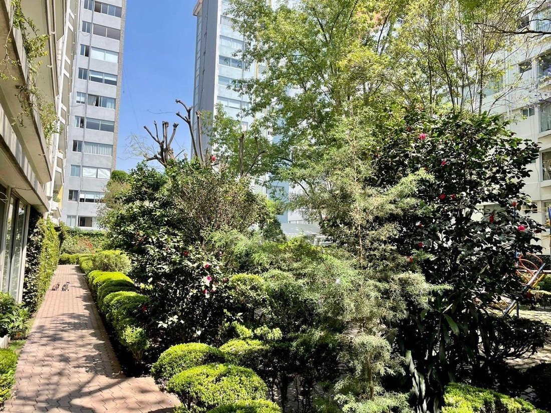 Apartment in Mexico City, Mexico 1 - 18821233