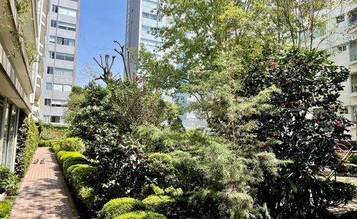 Apartment in Mexico City, Mexico 1
