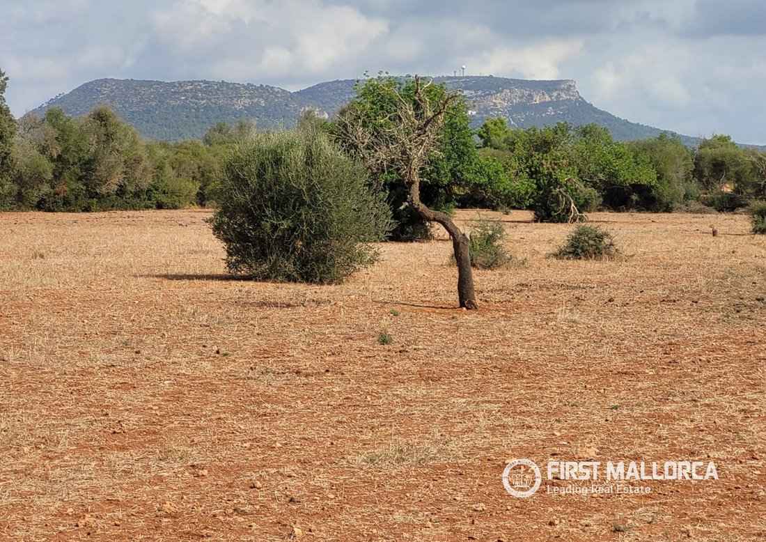 Terreno en Lluchmayor, Islas Baleares, España 1 - 18821826