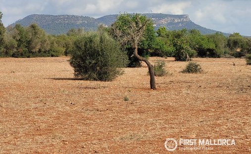 Terreno en Lluchmayor, Islas Baleares, España 1