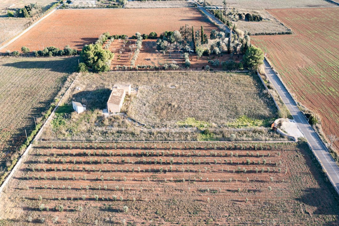 Casa en Campos, Islas Baleares, España 4 - 18191426