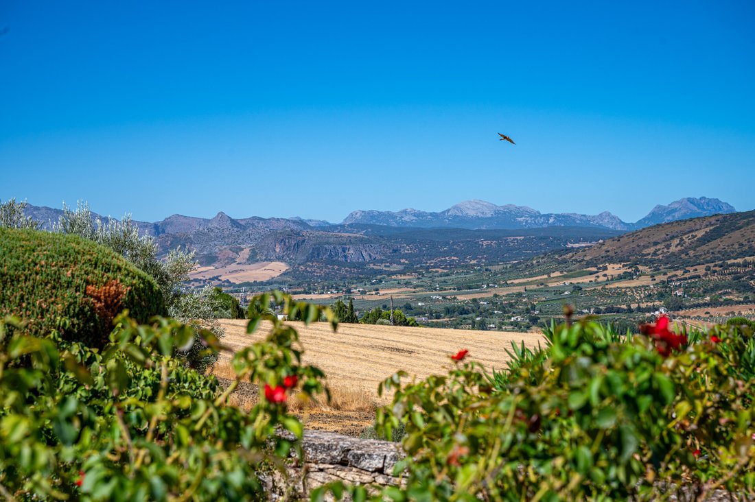 Maisons de campagne à Ronda, Andalousie, Espagne 2 - 18822746